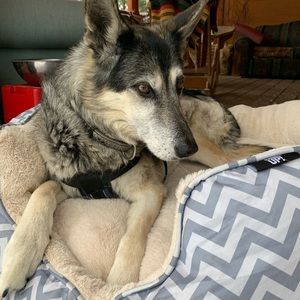 Meet your Posher, Adrienne